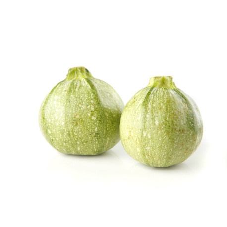 COURGETTE BLANCHE RONDE 5KG